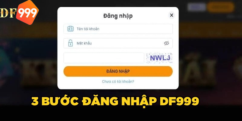 Các bước đăng nhập DF999