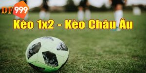 Kèo châu Âu có 3 lựa chọn chính dành cho người chơi